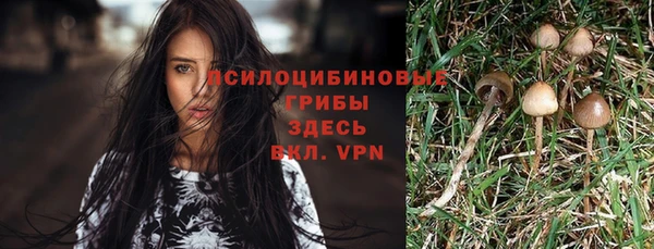гашиш Абинск