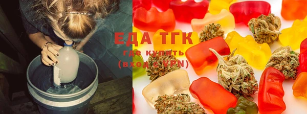 индика Аркадак