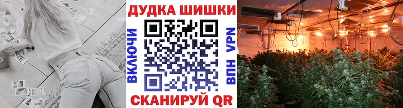 Конопля LSD WEED  наркошоп  Ачхой-Мартан 